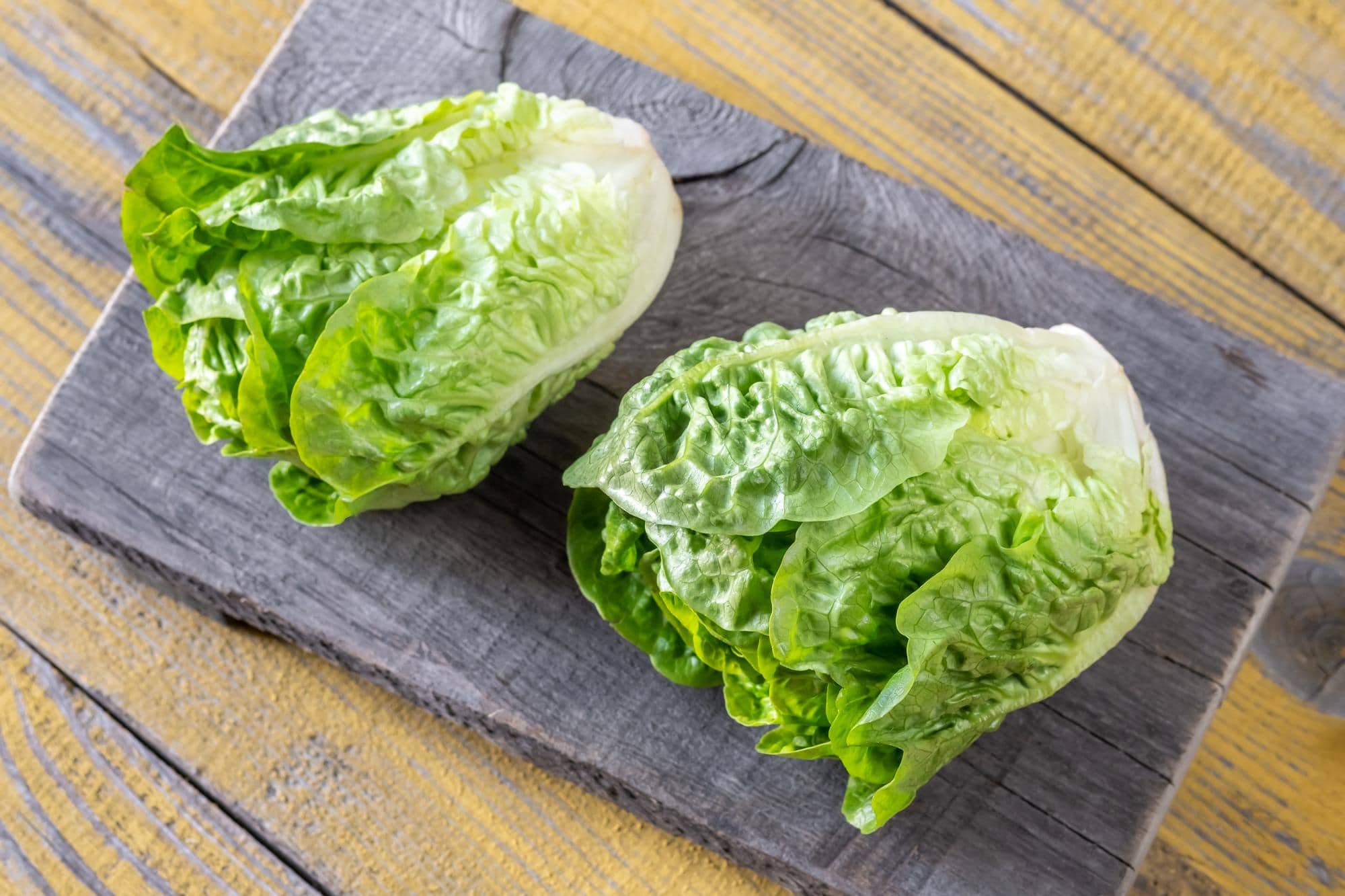 lettuce image